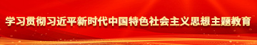 日逼视频啊啊啊很大学习贯彻习近平新时代中国特色社会主义思想主题教育